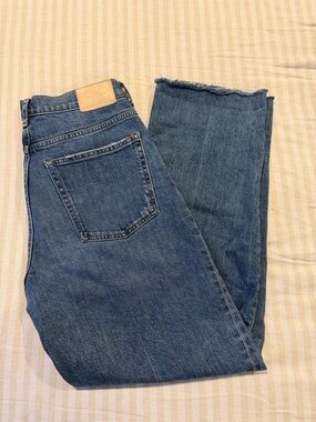 Everlane The Way High Jean Classic High-Waist Straight Leg Jeans — Medium Blue